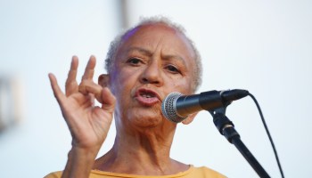 12th Annual Afropunk Brooklyn Festival