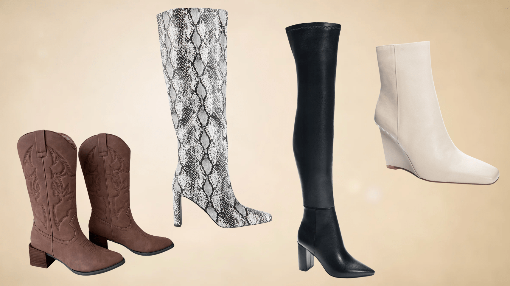 Winter Boots for Women